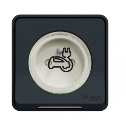 Mureva Styl - Prise courant 2P+T renforcée pour VE - IP55 IK08 - saillie - gris SCHNEIDER ELECTRIC
